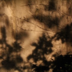 Town Pool  (for CIRCA exhibit)