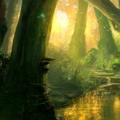 Shamanic Soundscapes - Tranquil Forest Meditative Soundscape