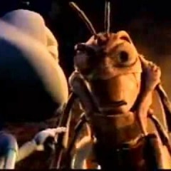 كارتون حياة حشرة - مشهد الحكاية مش اكل الحكاية تأديب النمل ده