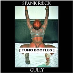 Spank Rock - Gully (Tumo Bootleg)