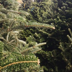 Christmas Time Is Here (Cover)