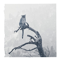 XHI & Xandra - Retrospection