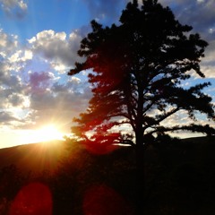 Marco Paez - December 2016 Mix