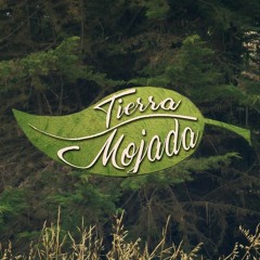 Tierra Mojada - Mírame/ DEMO
