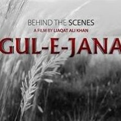 Gul Panra & Shaan Khan Pashto New Songs Gul E Jana Baranuna Full Song 2017 by ost12.blogspot.com