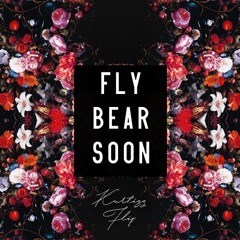 flybear - Soon... (KurtizZ Flip)