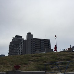 (cover)やわらかな日／斉藤和義