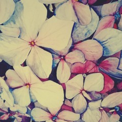 Adelaida - Te vienen a ver (Chini and the technicians)