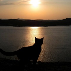 Infinite Indie Mix/ Think about life