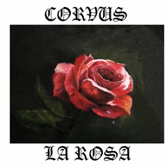 5- Disparos - Corvus ft Trick