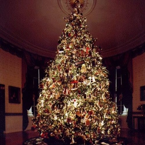 All I Want For Christmas Is Food