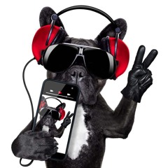DJ Fere