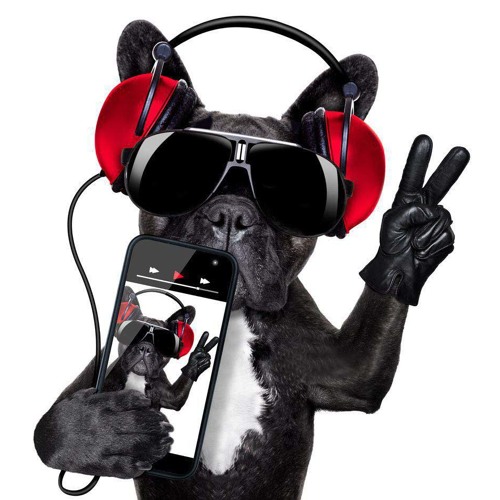 DJ Fere