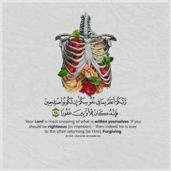 سورة الحاقة  - سليمان العتيبي