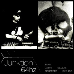 GAL4RRY - Junktion