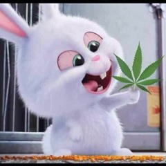 NST - Noel In My Houseee  - Vinaheyyyyyyy