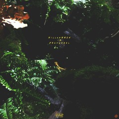 Lazy Lizzard Gang - Willkommen Im Dschungel (prod. AsadJohn)