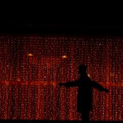 Why Not This Christmas