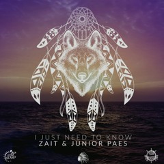 RAGG ft Junior Paes - I Just Need To Know (Original Mix) [EDM Island Exclusive]