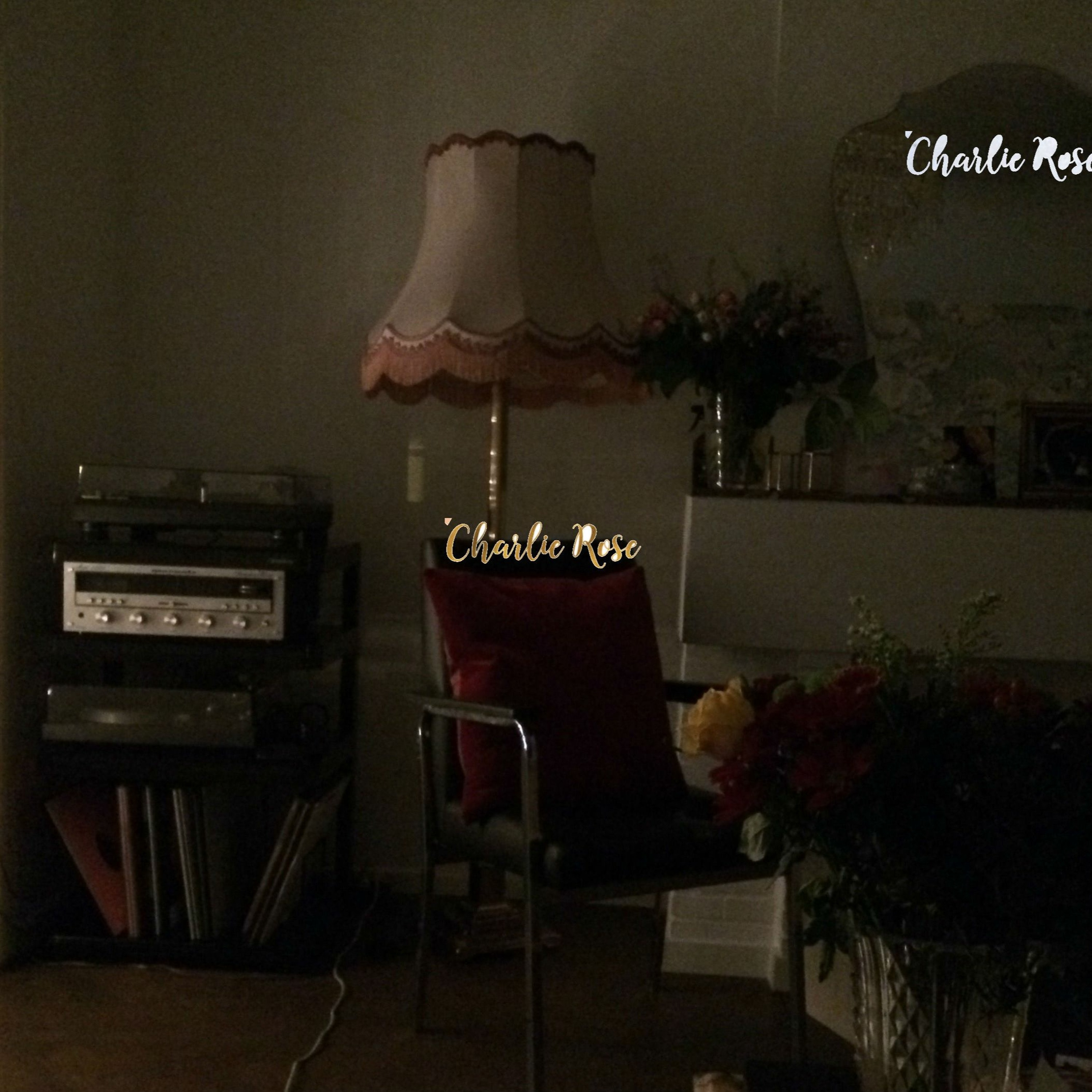 Charlie Rose episode artwork