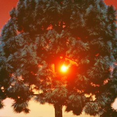 02 - Tant Les Nuages