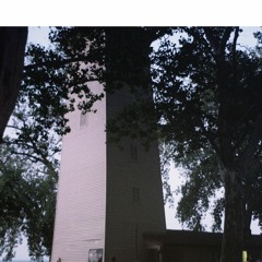 Forest Management - Porter Creek (Side B Excerpt)