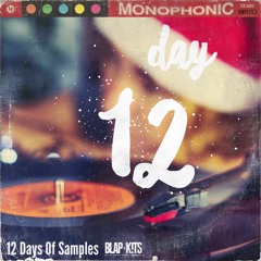 12 Days Of Samples - DAY 12 DEMO