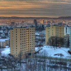 ENEBÆRBUSK  [FREE DOWNLOAD]