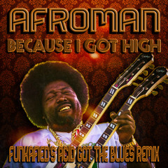 Afroman - Because I Got High (Funkafied's Acid Got The Blues Remix) (FREE DOWNLOAD)