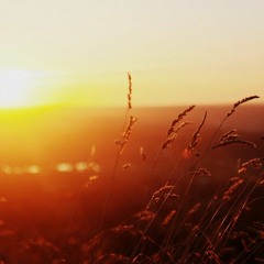 Yak - Summer Breeze (Free Download)