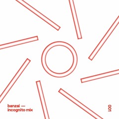 THE INCOGNITO MIX SERIES