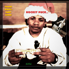 hockey Puck..