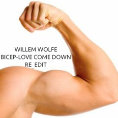 BICEP - Love Come Down (Willem Wolfe Re-edit)