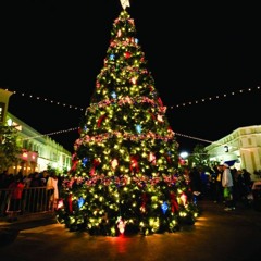 Don't Lose Illumination - Enrique Valero