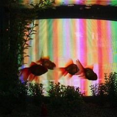 Ficciön Necesaria // QUEMARLO TODO (Single)