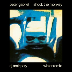 Peter Gabriel-Shock The Monkey-   Dj Amir Pery WinterRemix free downlod