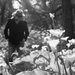 Last Fruit Fallen collaboration with Nils Kersten