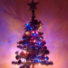 Noche De Paz (Santiago Wally)