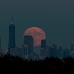 Chill Vibes Typebeat