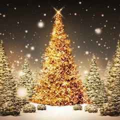The Nutcracker(DOT MARS trap remix)