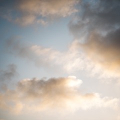 Come Thou Long Expected Jesus -Katie Gustafson