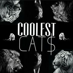 M€M Imfamous Blu - Coolest Cats