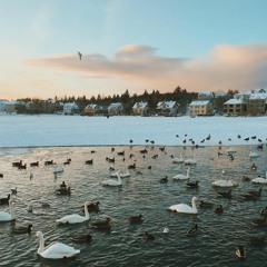 Nóttin var sú ágæt ein