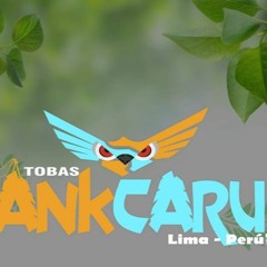 06 - Mix Tobas Dj C.c Erick Diciembre ¡¡ Feliz Navidad Ankcaru !!!