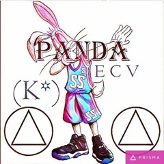 Paanda DSGR  "4(K*)Family" 2k17