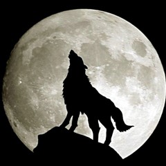 Echo & the Bunnymen : The Killing  Moon.