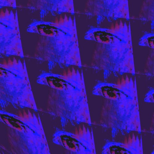 A rover’s guide to coastal chambers