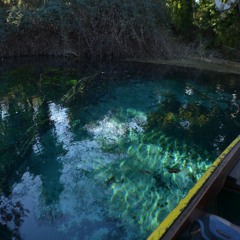 Paddling at Saint Naum, Ohrid (STEREO Recording)