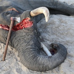 do not be indifferent