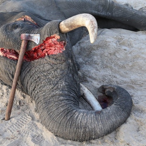 do not be indifferent